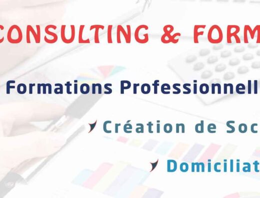 Twins consulting and formation