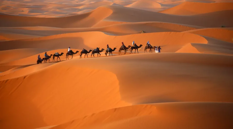 Découvrir le Maroc : Les Meilleurs Moments pour Profiter de sa Beauté