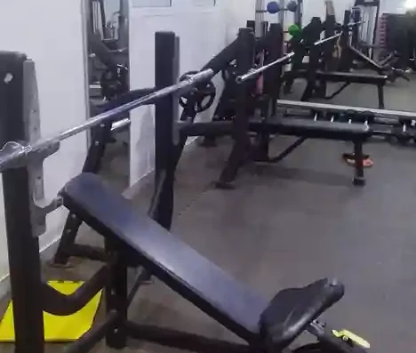 Mega Gym