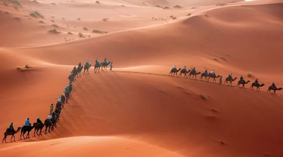 Merzouga : Une Odyssée Féérique au Cœur du Sahara Marocain