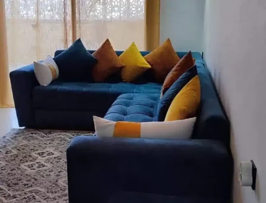 Magnifique appartement à louer 1
